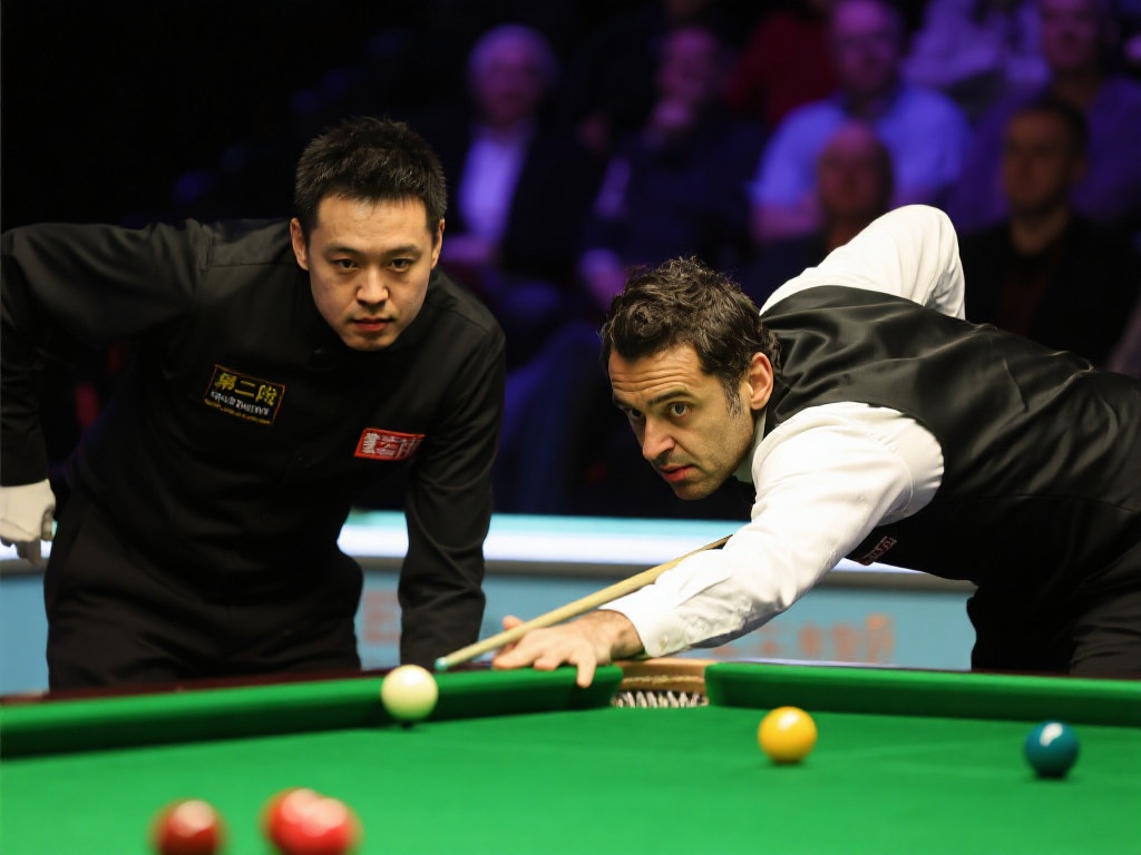 职业道路的 职业道路的